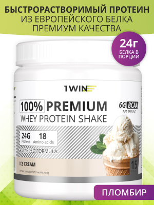 Премиум протеин / PREMIUM INSTANT WHEY / Белковый коктейль для похудения / Пломбир, 450г