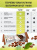 1WIN / PROTEIN BAR / Набор протеиновых батончиков  без сахара, 10шт. по 30г. Клубника-киви, Ванильный капучино